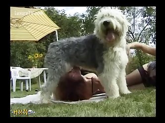 Room. She Still Had The Dildo And Harness In Her Under