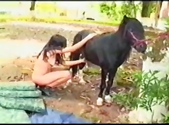Brazilian Chick And Small Horse
