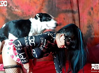 Artofzoo Tigerlily Hard Dog Life Part 1