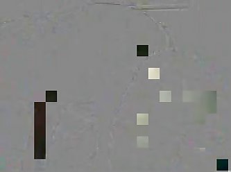Young Boy Fucks Dog On Webcam