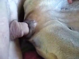 Daddy Shows You How