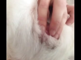 Pussy Rub.wmv