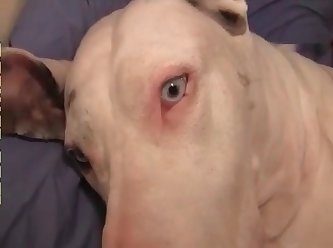 3295