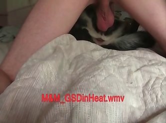 3576