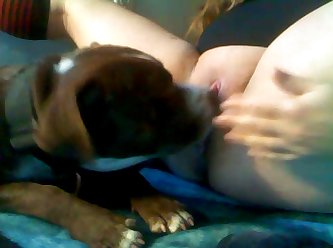 Bbw Gir Getting Licked