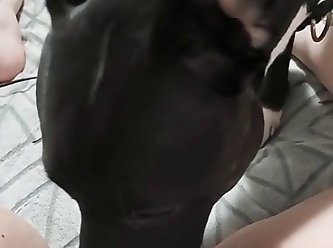 Hot Bbw Lets Dog Lick Her Cunt After Using Machine Dildo