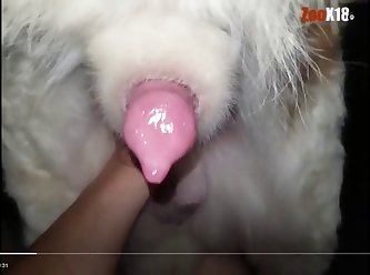 Girl With Her Big Horny Boy