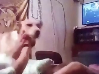 Girl Gets A Surprise Morning Fuck From Her Dog