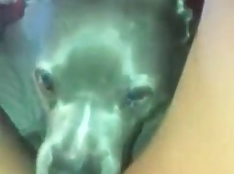 Slut Loves Getting Licked