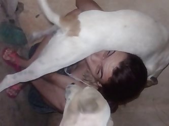 Sample Blowjob Amateur
