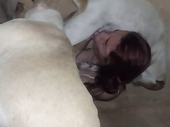 Sample Blowjob Amateur