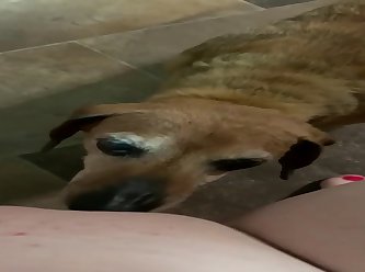 Dog Eats Teen Pussy