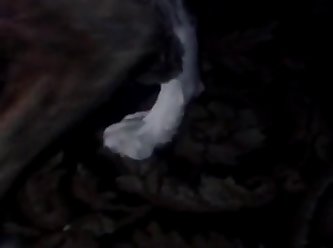 Girlfriend Taking Dog In All Her Hot Holes Extremebeastzoo