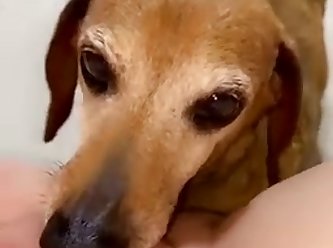 Teen Gets Ate By Cute Dog