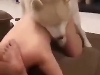Asian Girl Get Fuck