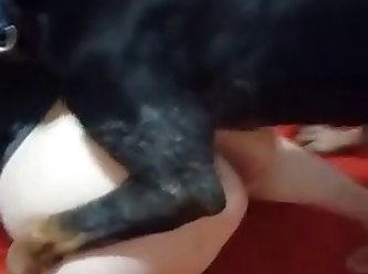 Training The Bitch