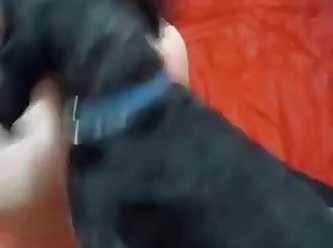Training The Bitch