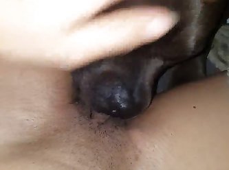 Pitbull Taste Her Pussy
