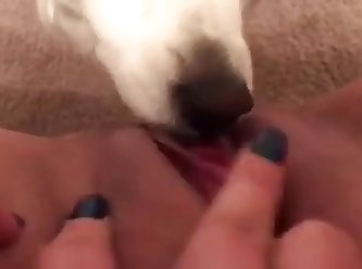 Milf Licked By Dog