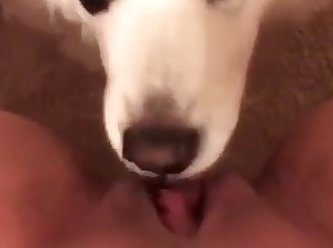 Milf Licked By Dog
