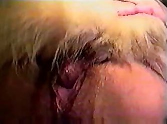 Thick Dog Cock Slides From Pussy For Bj