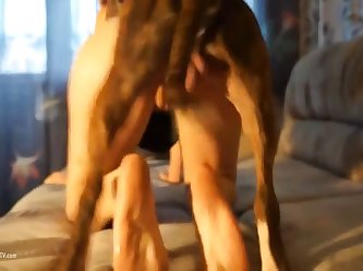 Anal Pmv Gomf