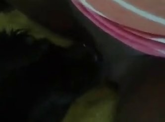 Dog Eating Me