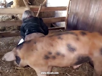 Pussy Crempie Boar 2