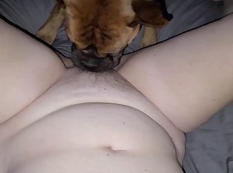 Wife Getting Licked As She Sucks