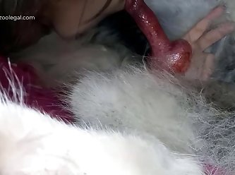 New Bestiality Movie Jijijiji