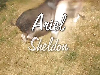Sheldon K9lady Ariel