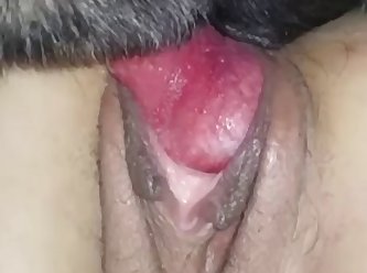 Hole Gets Pumped Full Of Animal Spunk