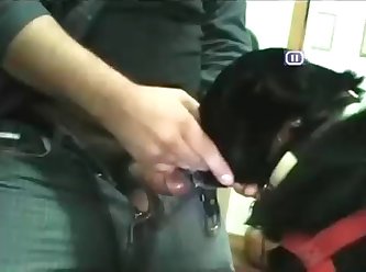 Black Lab Swallows A Load