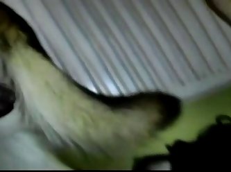 Gsd Breaking A Tie And The Gushing That Comes Out Multiple Views .