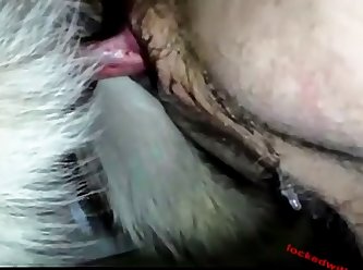 Gsd Breaking A Tie And The Gushing That Comes Out Multiple Views .
