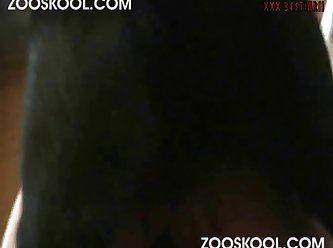Xnxx .com