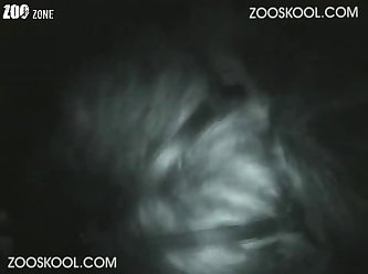 The Moment He Felt His Cock Enter The Warmth Of My Ass