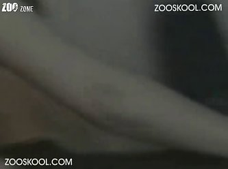 Equatorial Guinea Scandal Video