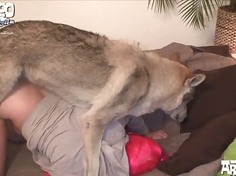 Dogs Eating Pussy