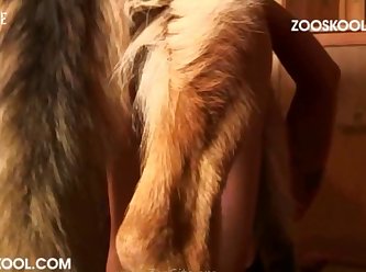 Cartoon Beastiality Porn