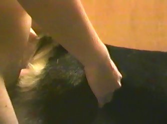 Zootoob