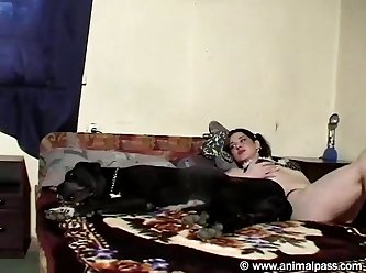 Tickszoo