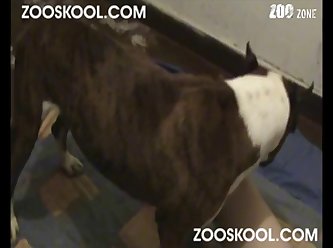 She Barely Noticed The Appreciative Hoots And Hollers