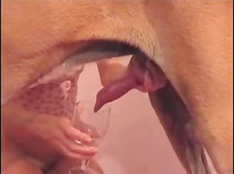 Www Artofzoo Com