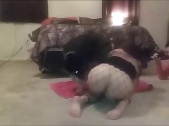 Big Dog Cocks