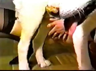 Is Zoophilia Illegal To Watch
