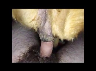 Horse Cock Furry Porn