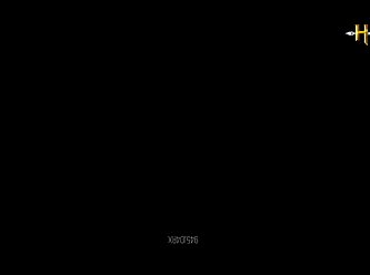 Amateur Bestiality Porn