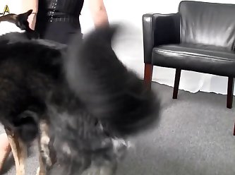 Young Bestiality Porn