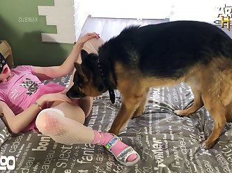 Horse Porn Bestiality